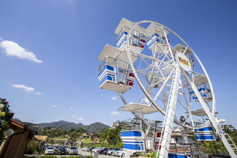 Roda Gigante 2